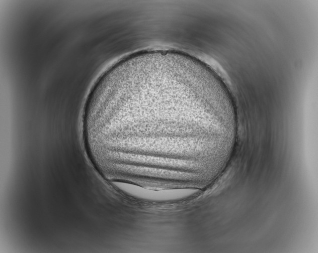 X0000093491183200711091639