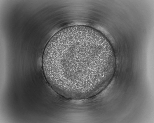 X0000093491185200711091639