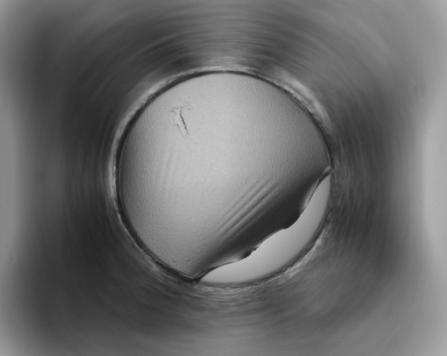 X0000093491188200711091639