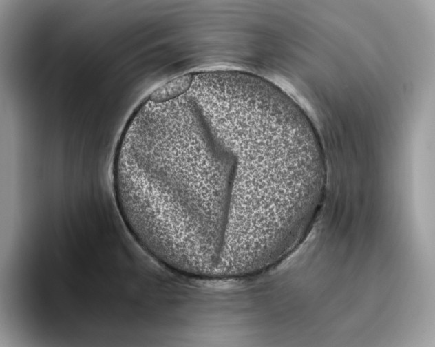 X0000093491189200711091639