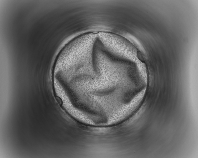 X0000093491192200711091639