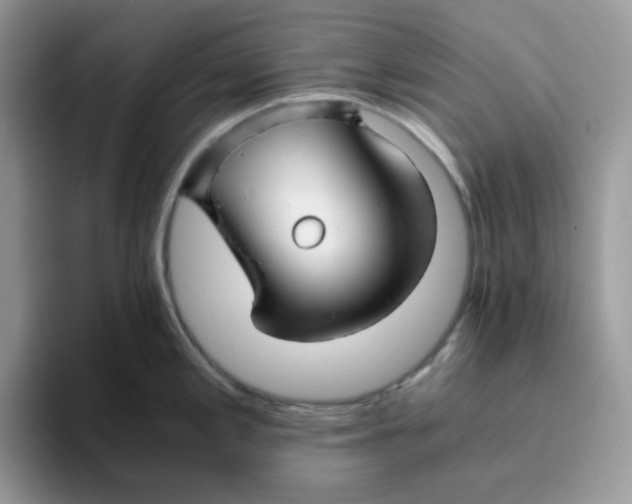 X0000093491197200711091639