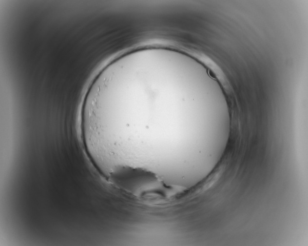 X0000093491199200711091639