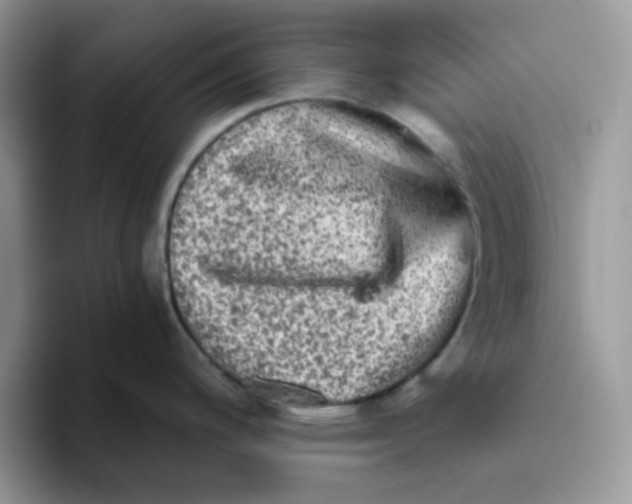 X0000093491200200711091639