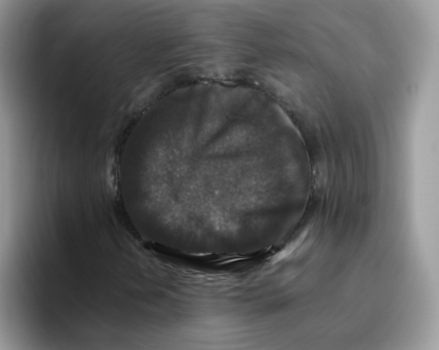 X0000093491202200711091638