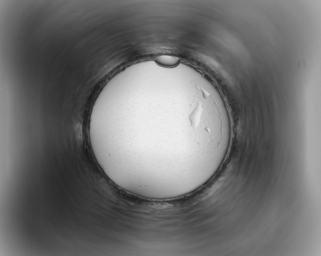 X0000093491209200711091638