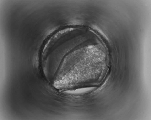 X0000093491213200711091639