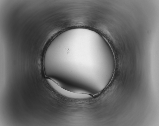 X0000093491218200711091639