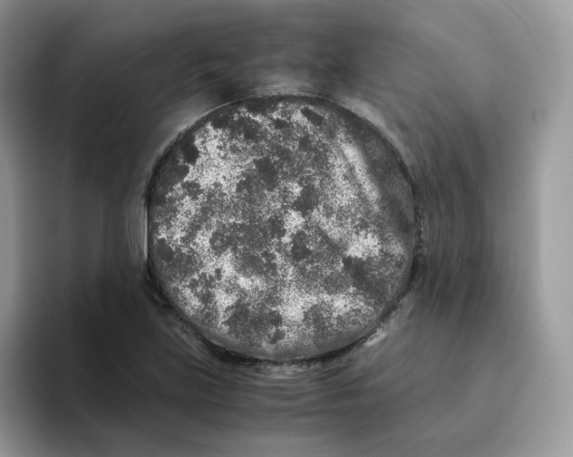 X0000093491219200711091639