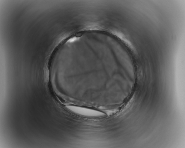 X0000093491221200711091639