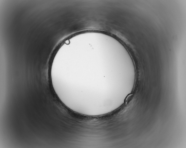 X0000093491222200711091639