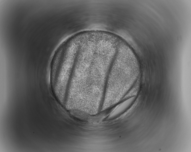 X0000093491224200711091639