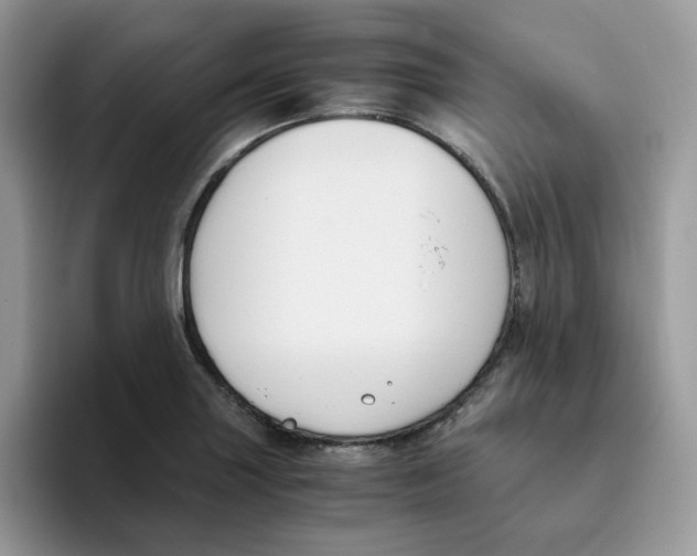 X0000093491227200711091639