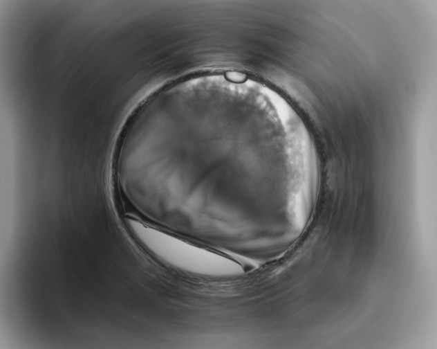 X0000093491229200711091639