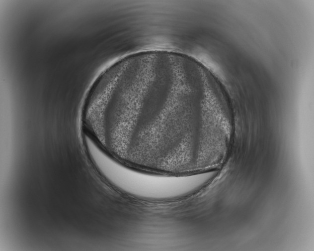 X0000093491230200711091639