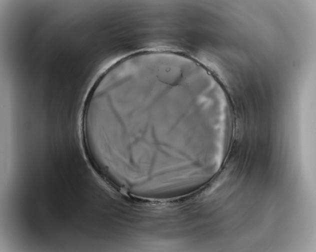 X0000093491231200711091639