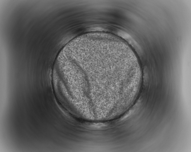 X0000093491233200711091639