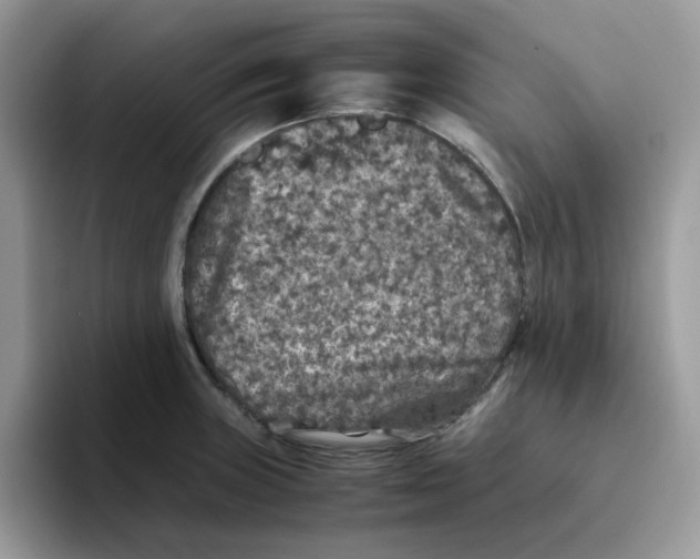 X0000093491235200711091639