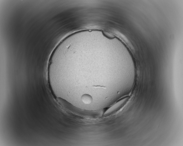 X0000093491236200711091639