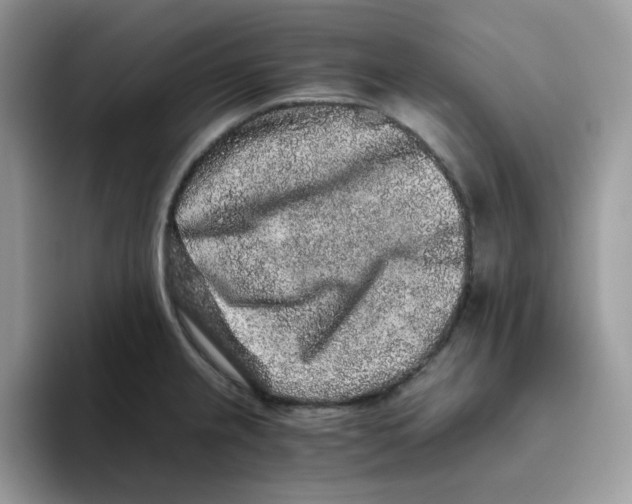 X0000093491237200711091639