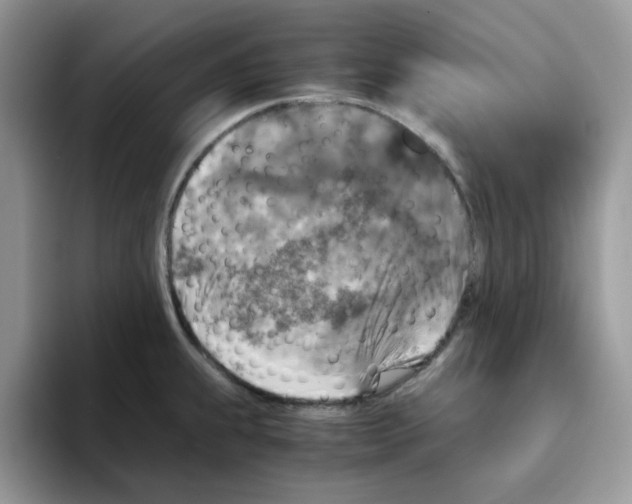 X0000093491239200711091639