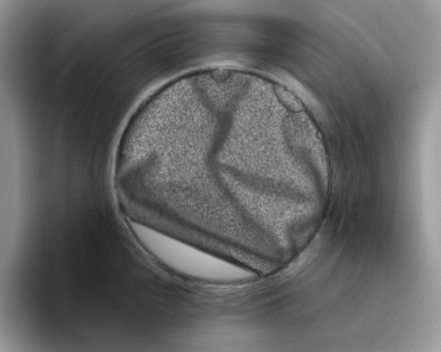 X0000093491240200711091639