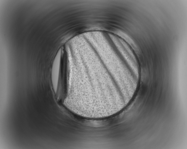 X0000093491241200711091639