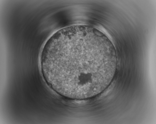 X0000093491243200711091639