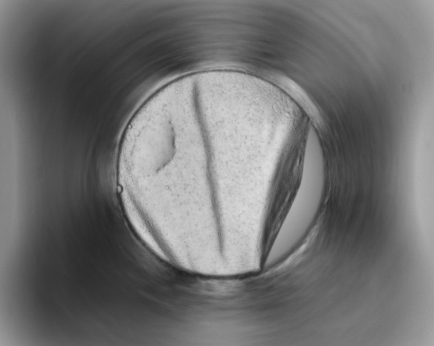 X0000093491244200711091639