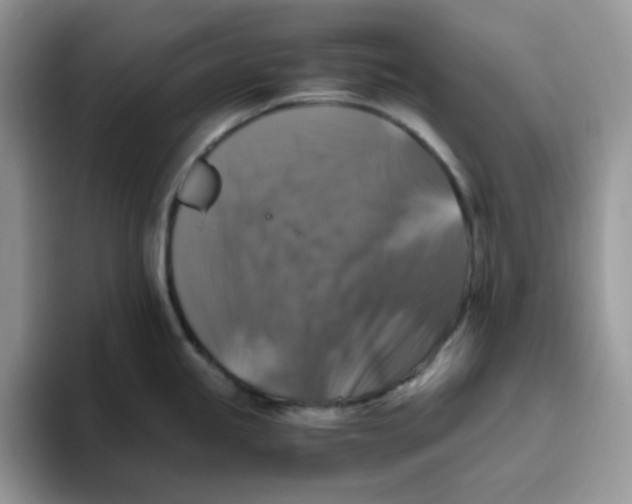 X0000093491245200711091639