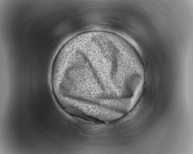 X0000093491247200711091639