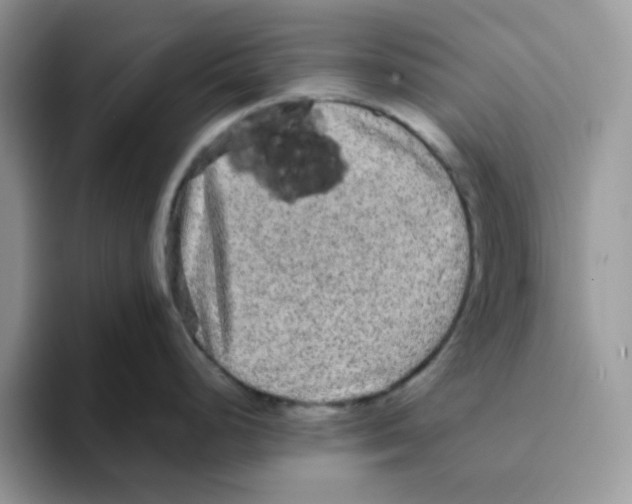 X0000093491248200711091639