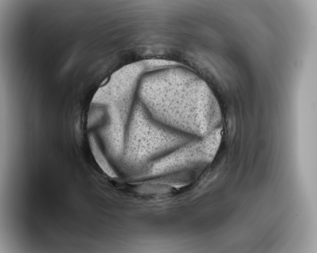 X0000093491250200711091638