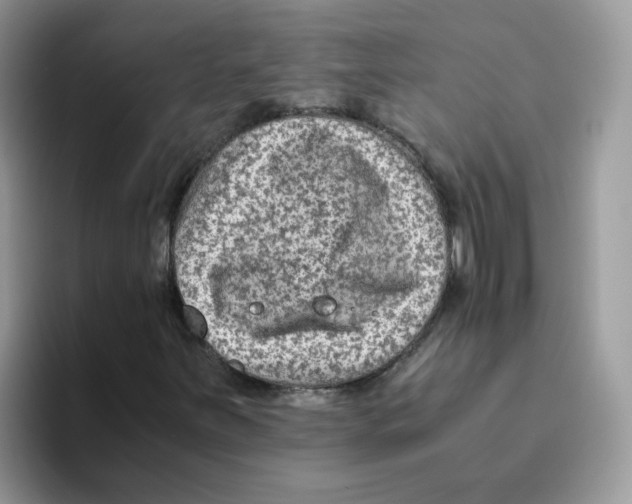 X0000093491251200711091638