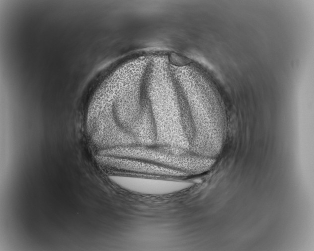 X0000093491255200711091638