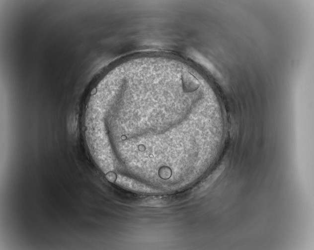 X0000093491259200711091638