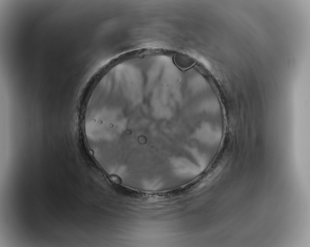 X0000093491263200711091638