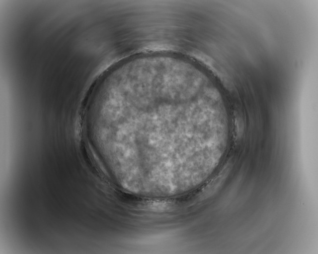 X0000093491266200711091638