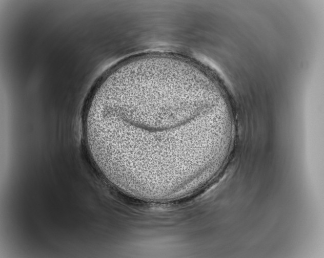 X0000093491267200711091638