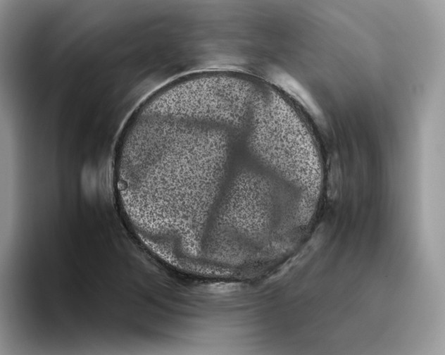 X0000093491268200711091638