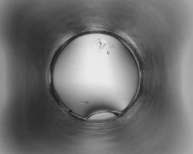 X0000093491269200711091638