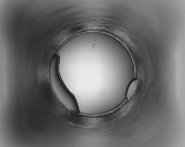 X0000093491273200711091638