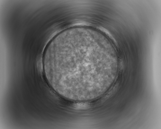 X0000093491274200711091638