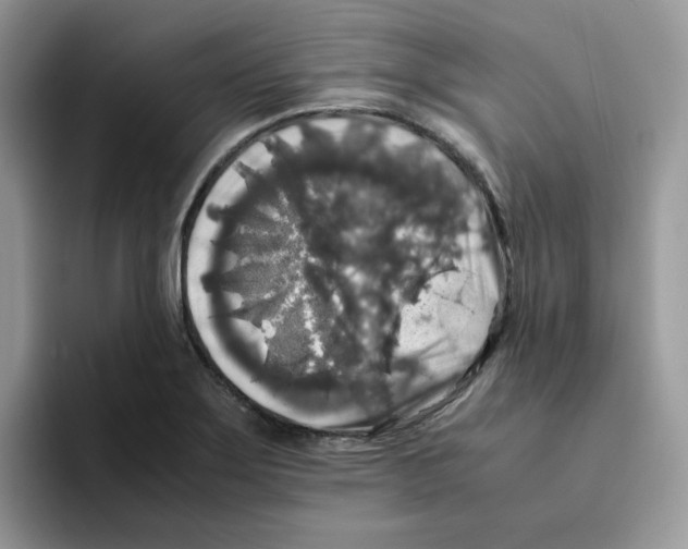 X0000093491275200711091638