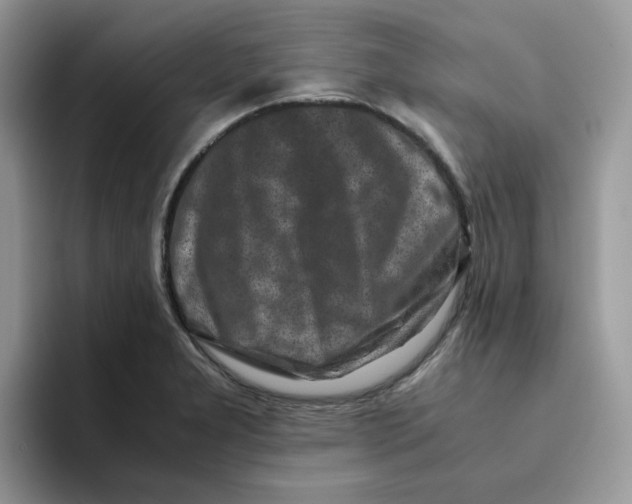 X0000093491277200711091638