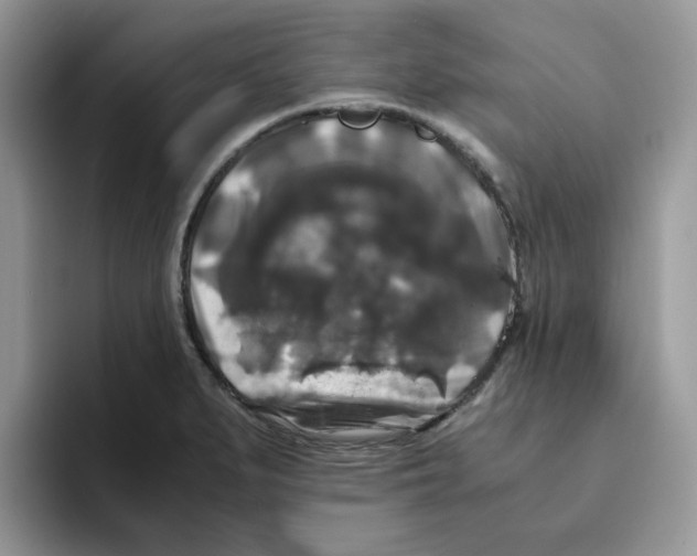 X0000093491279200711091638