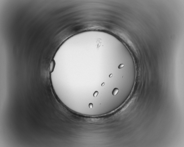 X0000093491281200711091638