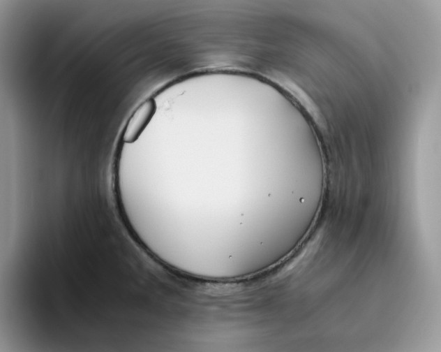 X0000093491285200711091638