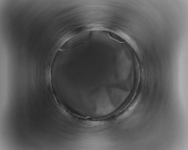 X0000093491289200711091638