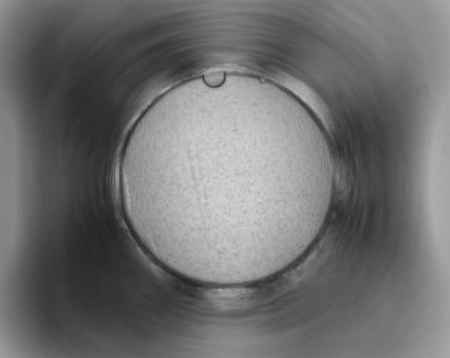 X0000093491290200711091638